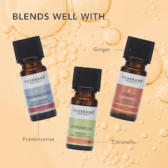 Image 5 for Orange Organic Pure Essential Oil 9ml