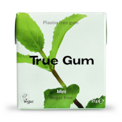 Mint Chewing Gum 21g