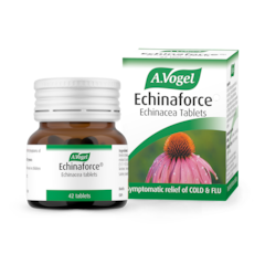 Image 1 for Echinaforce 42 Tablets
