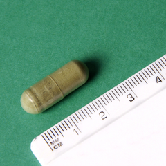Image 2 for Matcha Tea 500mg 100 Capsules