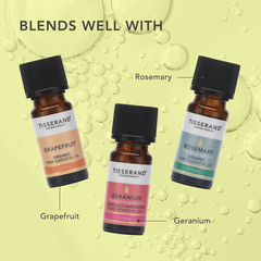 Image 5 for Lemongrass Organic Pure Essential Oil 9ml
