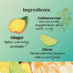 Image 4 for Superblends Defence 20 Tea Bags