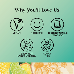 Image 5 for Superblends Defence 20 Tea Bags