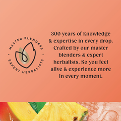 Image 3 for Superblends Focus 20 Tea Bags