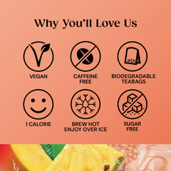 Image 5 for Superblends Focus 20 Tea Bags