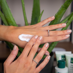 Image 3 for Aloe and Cucumber Cleansing Lotion