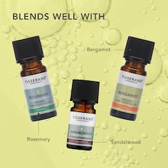 Image 5 for Cardamom Pure Essential Oil 9ml