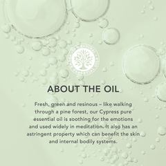 Image 3 for Cypress Wild Crafted Pure Essential Oil 9ml