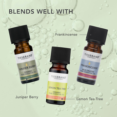 Image 5 for Cypress Wild Crafted Pure Essential Oil 9ml