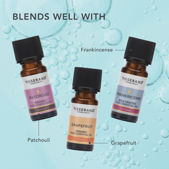 Image 5 for Myrrh Wild Crafted Pure Essential Oil 9ml