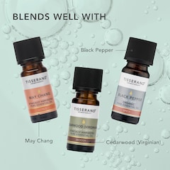 Image 5 for Siberian Fir Wild Crafted Pure Essential Oil 9ml
