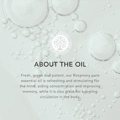 Image 3 for Rosemary Organic Pure Essential Oil 9ml