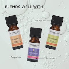 Image 5 for Rosemary Organic Pure Essential Oil 9ml