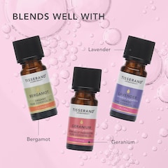 Image 5 for Patchouli Organic Pure Essential Oil 9ml