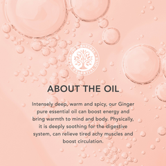 Image 3 for Ginger Organic Pure Essential Oil 9ml
