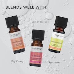 Image 5 for Black Pepper Organic Pure Essential Oil 9ml