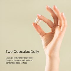 Image 4 for PROCEIVE® Pregnancy Trimester 2 60 Capsules