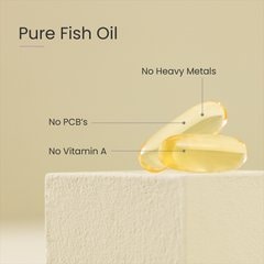Image 3 for PROCEIVE® Omega 3 60 Capsules