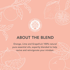 Image 4 for Energy Boost Diffuser Oil 9ml