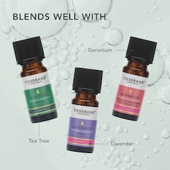 Image 5 for Palmarosa Pure Essential Oil 9ml
