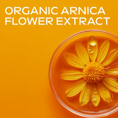 Image 3 for Arnica Massage Oil 100ml