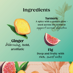 Image 4 for Superblends Digest Ginger & Turmeric with Fig 20 Teabags