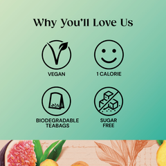 Image 5 for Superblends Digest Ginger & Turmeric with Fig 20 Teabags