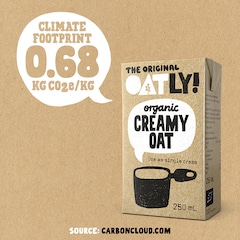 Organic Creamy Oat Single Cream 250ml