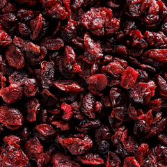 Image 3 for Organic Cranberries 200g