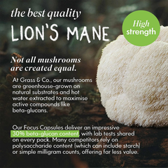 Image 5 for FOCUS Lion's Mane Mushrooms with Ginseng + Omega-3 60 Vegan Capsules
