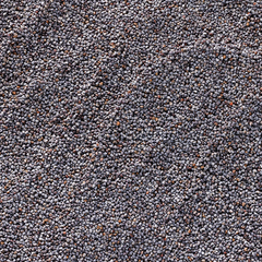 Image 3 for Poppy Seeds 200g