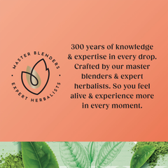 Image 3 for Superblends Super Green Matcha Tea Bags 20 Tea Bags