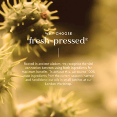 Image 5 for Fresh-Pressed Castor Oil 250ml