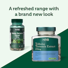 Tribulus Terrestris Extract 250mg 90 Capsules