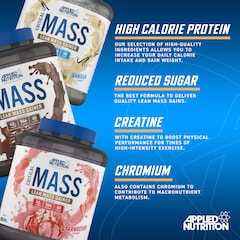 Critical Mass Gainer Strawberry 2.4kg