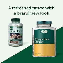 Ginger Root Extract 240 Capsules