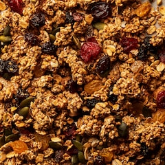 15 Plant Fruit & Seed Granola 500g