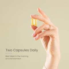 Image 3 for PROCEIVE® Conception Omega 3 60 Capsules