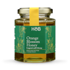 Regional Honey Mexican Orange Blossom Honey 225g