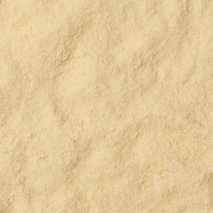 Tremella Mushroom Powder 100g