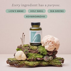 CALM & COLLECTED with Ashwagandha and Lion's Mane 60 Vegan Capsules