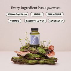 Image 4 for DOZE & DREAM with Reishi and Ashwagandha 60 Vegan Capsules