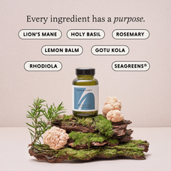 Image 4 for FOCUS & CLARITY with Lion’s Mane and Holy Basil 60 Vegan Capsules