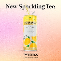 Boost Lemon & Ginger Sparkling Drink 250ml