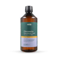 Image 1 for Glucosamine Chondroitin & MSM Complex Liquid 473ml