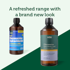Image 4 for Glucosamine Chondroitin & MSM Complex Liquid 473ml