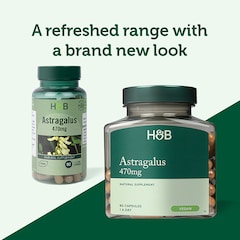 Image 3 for Astragalus 470mg 90 Capsules