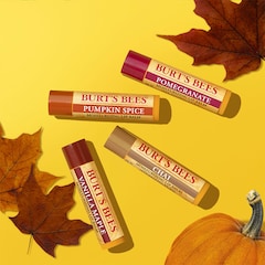 Fall Lip Balm 4 Pack