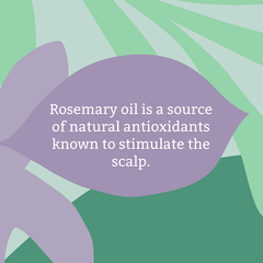 Image 5 for Faith In Nature Shampoo for Normal Hair Rosemary 5L