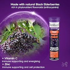 Image 3 for Immuno Forte 15 Effervescent Tablets